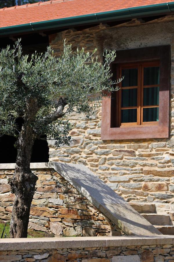 Bed and Breakfast O Casario Mirandela Zewnętrze zdjęcie
